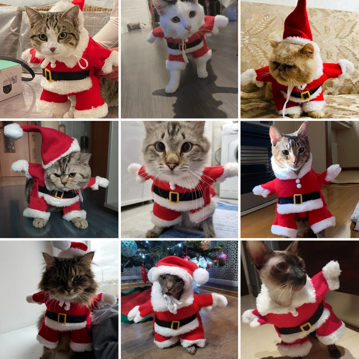 Christmas Pet Santa Costume Cute Outfit for Cats & Dogs