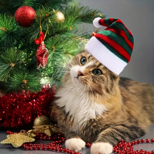 Christmas Pet Hat