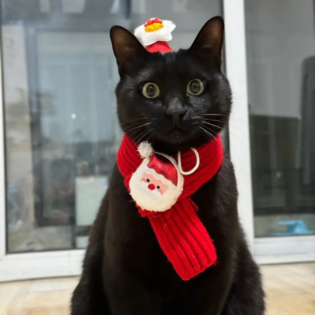 Christmas Pet Hat & scarf Set Knitted Holiday Accessory