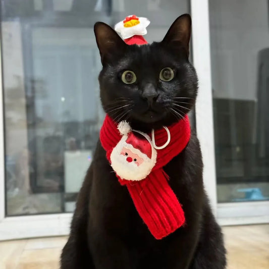 Christmas Pet Hat & scarf Set Knitted Holiday Accessory